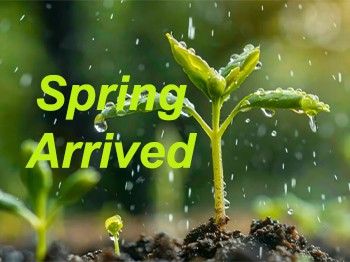 Trái đất thức tỉnh: Kỷ niệm Lichun, sự khởi đầu của mùa xuân